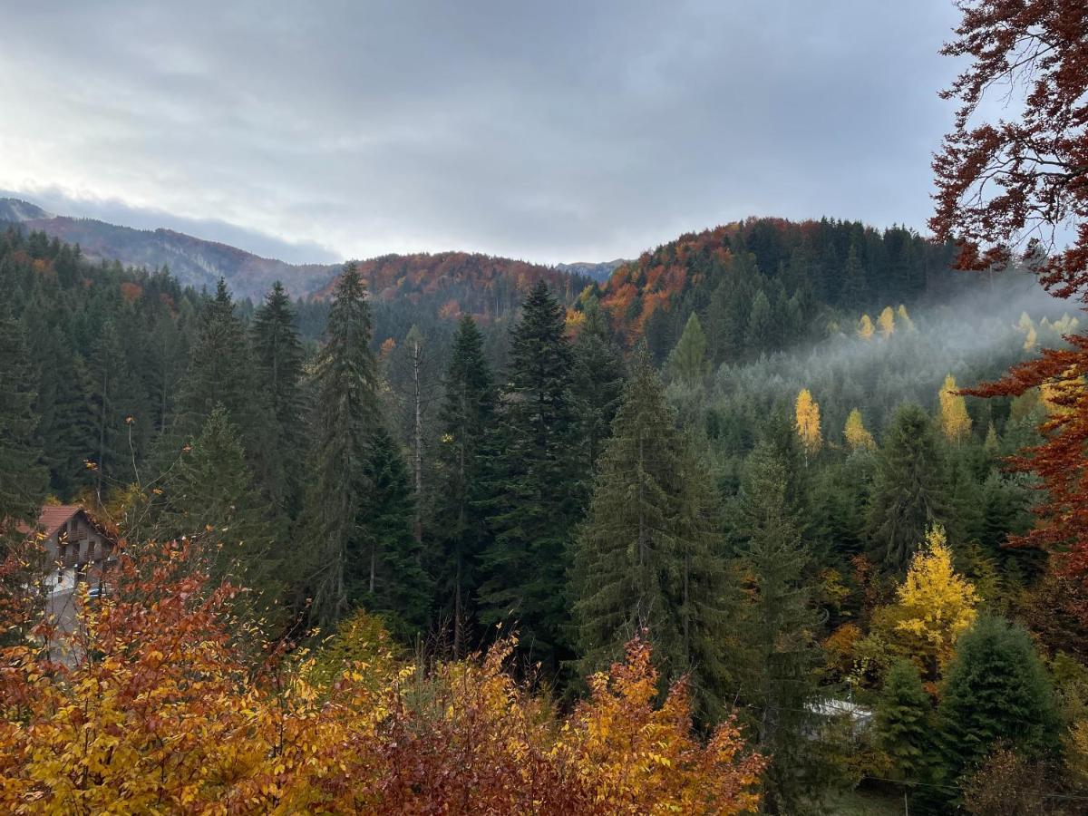 7Soapte Timişu de Jos Exterior foto