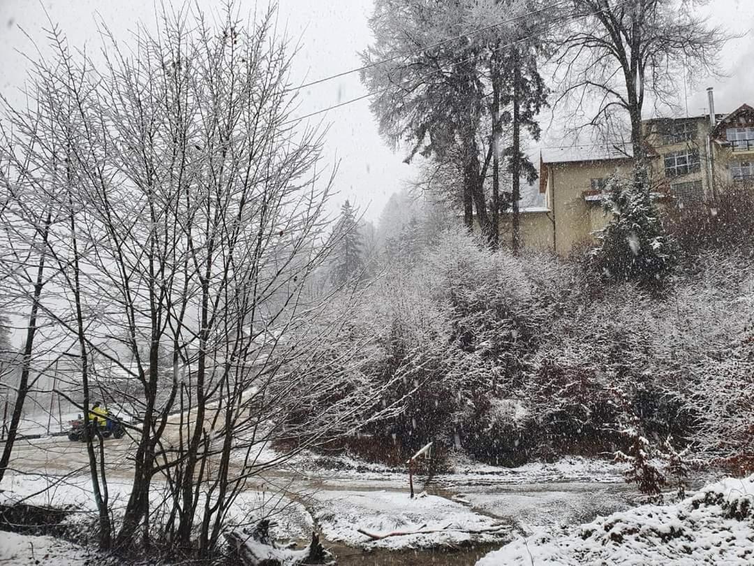 7Soapte Timişu de Jos Exterior foto